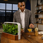 SmallGarden // Smart Garden With Basil Seed Pods