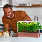 SmallGarden // Smart Garden With Basil Seed Pods