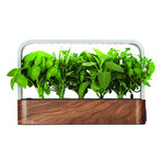 SmallGarden // Smart Garden With Basil Seed Pods