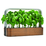 SmallGarden // Smart Garden With Basil Seed Pods