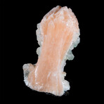 Bright Pink-Peach Stilbite with Chlorite Apophyllite