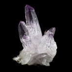 Spectacular Amethyst Cluster