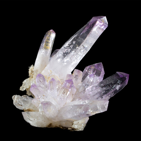 Dozen-Terminated Vera Cruz Amethyst Cluster