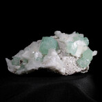 Rare Green Cubic Apophyllite with White Stilbite