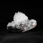 Scolecite Crystal Burst with Apophyllite on Basalt