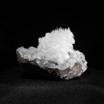 Scolecite Crystal Burst with Apophyllite on Basalt