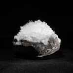 Scolecite Crystal Burst with Apophyllite on Basalt