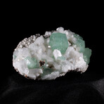 Rare Green Cubic Apophyllite with White Stilbite