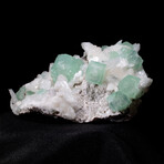 Rare Green Cubic Apophyllite with White Stilbite