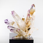 Phenomenal Phantom Vera Cruz Amethyst Flower