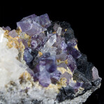 Color-zoned Purple Fluorite & Quartz Miniature