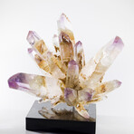 Phenomenal Phantom Vera Cruz Amethyst Flower