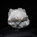 Scolecite Crystal Burst with Apophyllite on Basalt