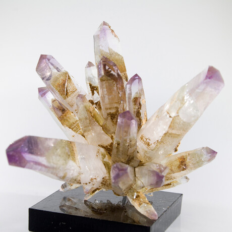 Phenomenal Phantom Vera Cruz Amethyst Flower