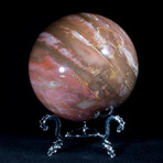 Petrified Wood Sphere + Display Stand // Large