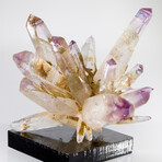 Phenomenal Phantom Vera Cruz Amethyst Flower