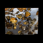 Imilac Pallasite Meteorite: 9.95g Interior Part-Slice