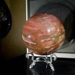 Petrified Wood Sphere + Display Stand // Large