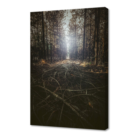 Forest Floor (8"H x 12"W x 0.75"D)