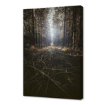 Forest Floor (8"H x 12"W x 0.75"D)