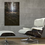 Forest Floor (8"H x 12"W x 0.75"D)