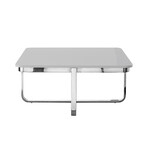 Krista Coffee Table (Light Gray + Chrome)