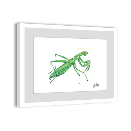 Mantis Framed Painting Print (8"H x 12"W x 1.5"D)