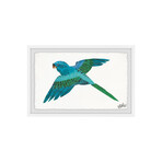 ABC Bird Framed Painting Print V2 (8"H x 12"W x 1.5"D)