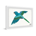 ABC Bird Framed Painting Print V2 (8"H x 12"W x 1.5"D)