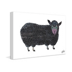 Black Sheep Painting Print on Wrapped Canvas (8"H x 12"W x 1.5"D)