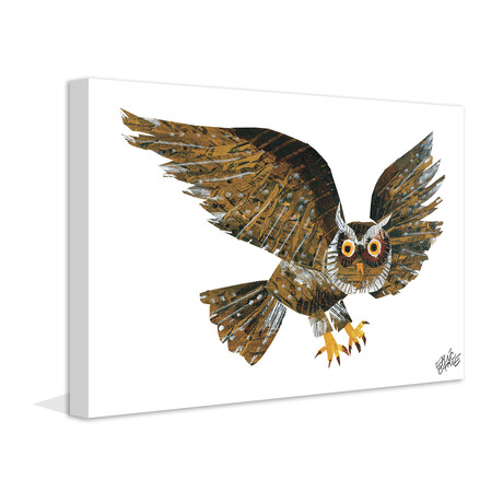 Screech Owl Painting Print on Wrapped Canvas (8"H x 12"W x 1.5"D)