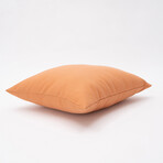 Tristin Solids Outdoor Pillow // 18" X 18" (Black Beauty)