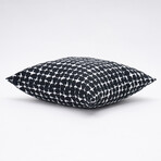 Lenore Outdoor Pillow // 18" X 18" (Black Beauty)