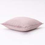 Haven Dutch Velvet Pillow // 20" X 20" (Whisper Pink)