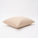 Tristin Solids Outdoor Pillow // 18" X 18" (Black Beauty)