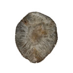 Large Thick Luxury Agate Trivet // Silver Trim (Natural Agate)