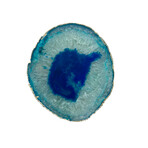 Large Thick Luxury Agate Trivet // Silver Trim (Natural Agate)