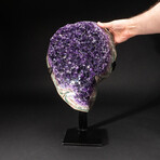 Genuine Amethyst Cluster on Metal Stand