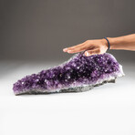 Genuine Amethyst Crystal Cluster + Acrylic Display Stand // V7