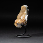 Genuine Citrine Crystal Cluster + Metal Stand // V1