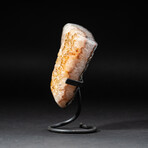 Genuine Citrine Crystal Cluster + Metal Stand // V2