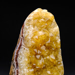 Genuine Citrine Crystal Geode // V1