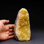 Genuine Citrine Crystal Geode // V1