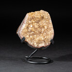 Genuine Citrine Crystal Cluster + Metal Stand // V3