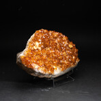 Genuine Citrine Crystal Cluster + Acrylic Display Stand // V1