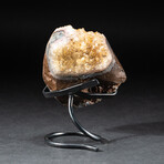 Genuine Citrine Crystal Cluster + Metal Stand // V3