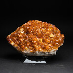 Genuine Citrine Crystal Cluster + Acrylic Display Stand // V1