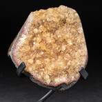 Genuine Citrine Crystal Cluster + Metal Stand // V3