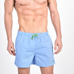 Striped Swim Trunks // Blue (S)