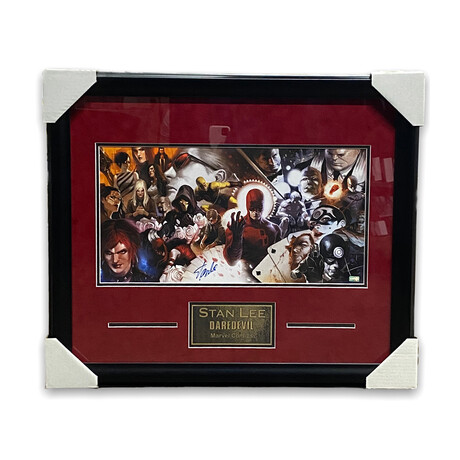Stan Lee // Daredevil // Signed + Framed Photograph